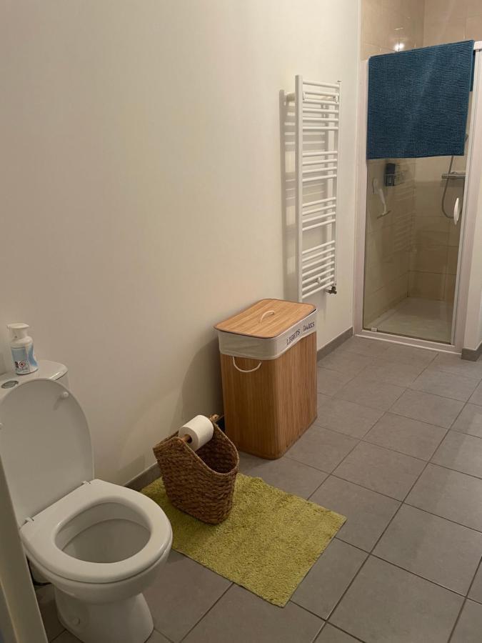 Appartement Avec Terrasse Proche De Rennes Saint-Jacques-de-la-Lande Exterior foto